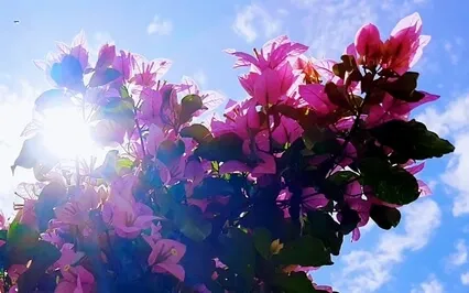 Taking A Break - Calmness In The Midst Of Your Day