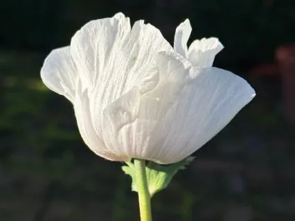 Taking A Break From The Busy-ness (Extended & Live Version)