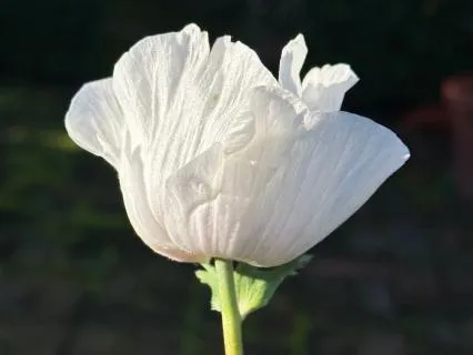 Taking A Break From The Busy-ness