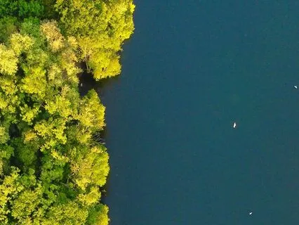 Taking A Gentle Healthy Stand