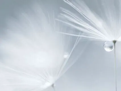 Taking A Moment For You