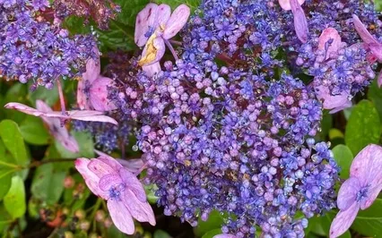 Taking A Moment For Yourself