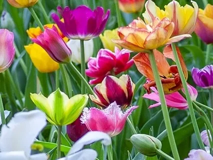 Taking Care Of Ourselves Spiritually