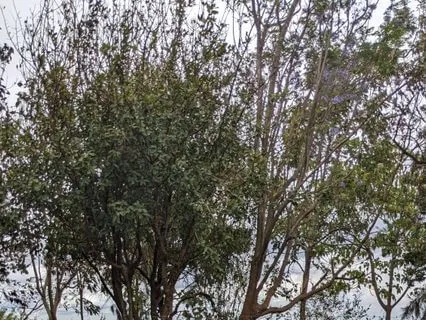 Taking Care Of Teachers Retreat. Teaching On How To Practice