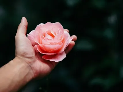 Taking Care Of That Broken Heart