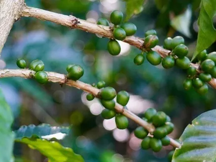 Taking Care Of What You Already Have