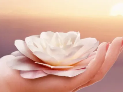 Taking Care Of Your Body 