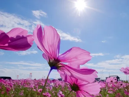 Taking Charge Of Your Happiness