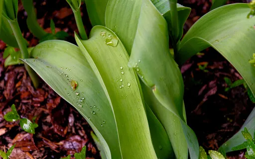 Taking Comfort (With Music)