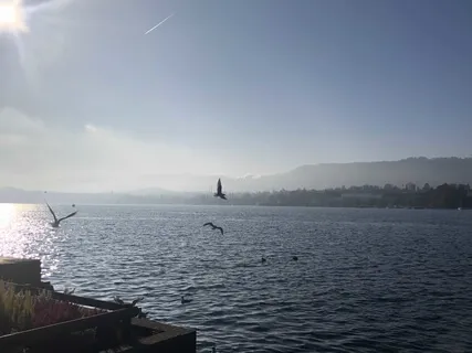 Taking Control From Fear & Anxiety Meditation