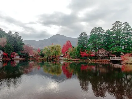 Taking Everyday Steps Beyond Overwhelm