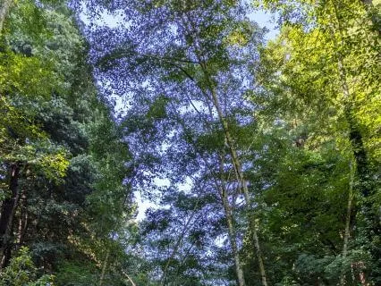 Taking Good Care Of Myself: Letting Go Of Codependency