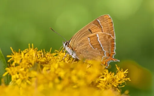 Taking Longer Transitions Between Tasks And States Of Being