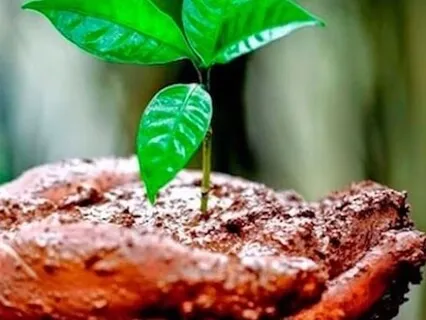 Taking Responsibility For Your Life Circumstances