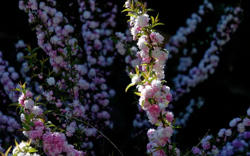 Taking Rest Extended (With Music)