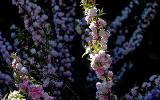 Taking Rest (With Music)