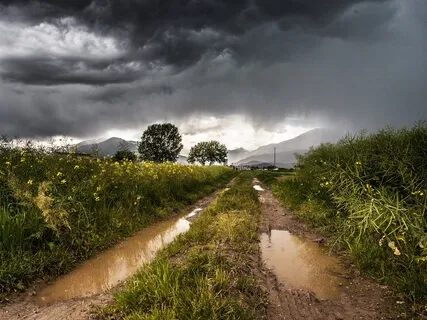 Taking the Hard Road