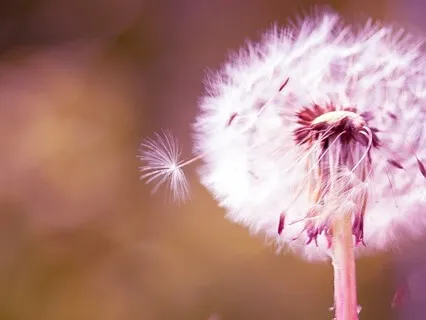 Taking The Suffering Out Of Challenging Situations