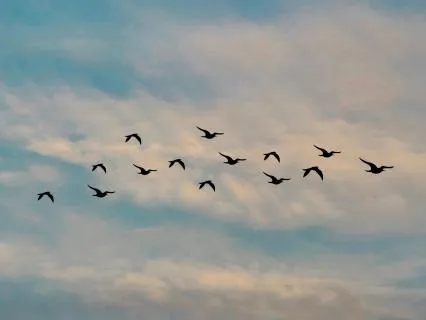 Taking Up Space & Being Seen: A Guided Reflection