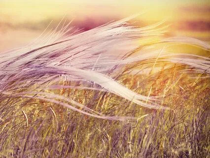 Talk 4 - Insight Meditation And The 4 Foundations Of Mindfulness