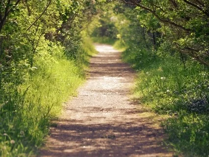 Talk : About Your Soul Path