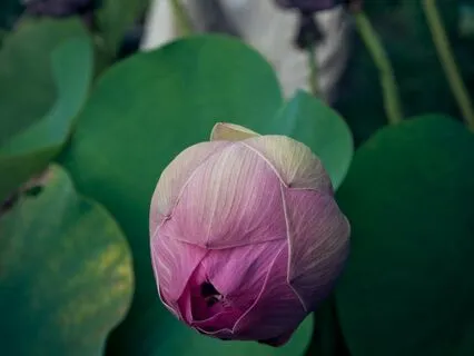 Talk: Breaking Through