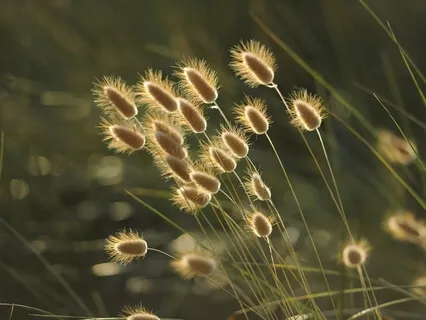 Talk: Experiencing Your Soul