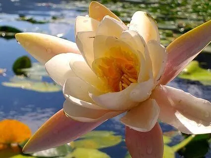 Talk: Held In Tenderness