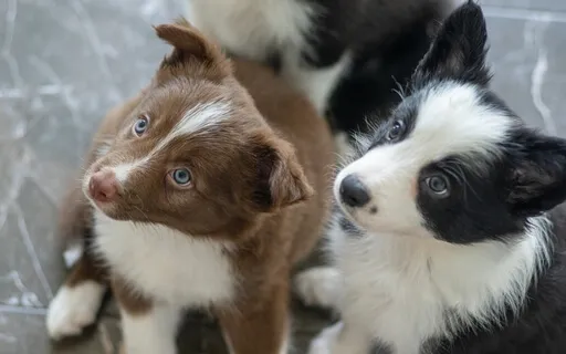 Talk: Introducing Attention Management