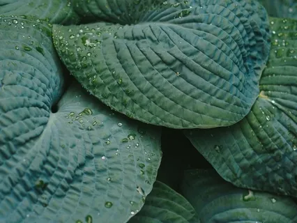 Is Mindfulness For Me? 