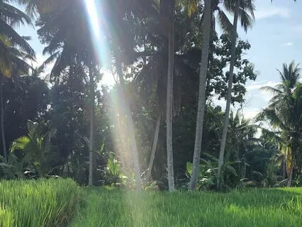 TALK MINDSET - Change your mindset, change your life