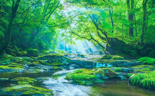 Talk: Ode To Your Ego Inspiration