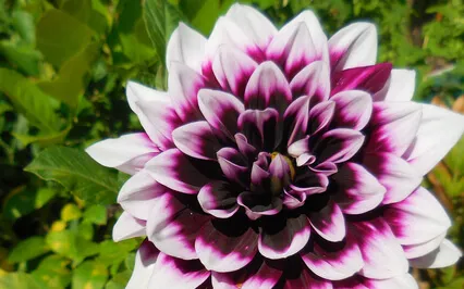 Talk On Facing Death And The Second Innocence 