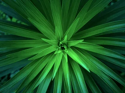 Talk On "Grace, Cosmic Jokes, And Controlled Accidents"