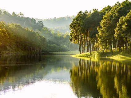 Talk On Loving-Kindness And Compassion Meditations As Spacious Divine Abodes