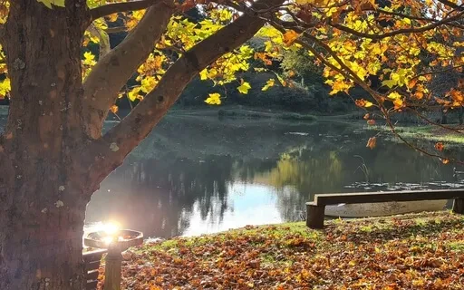 Talk On The Inner Well