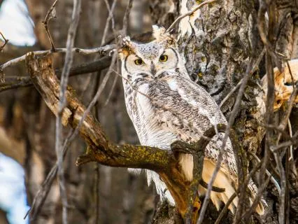 Talk On The Nervous System Your Wellbeing