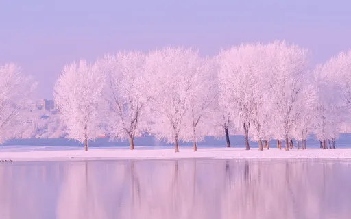 Talk: Rediscovering The Joy Of The Holidays