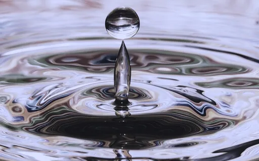 Talk: Surrender To The Pandemic