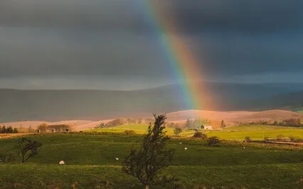 Talk: The Alchemy Of Luck