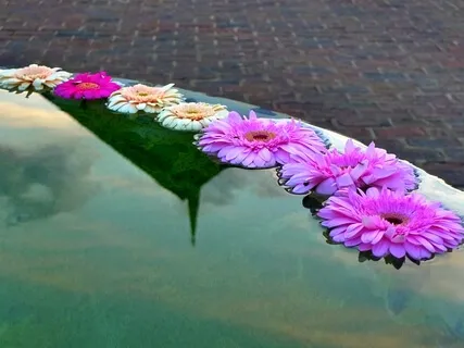 Talk: The Hindrances To Meditation And The Joy Of Freedom From Them