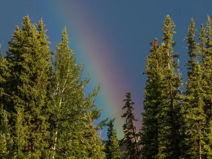 Talk To Yourself As You Would To A Friend - Negative Self-Talk Begone