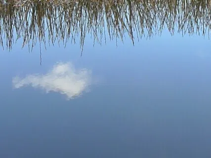 Talk:  Working With Unpleasant Feelings (Oct 2020)