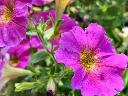 Talking Back To The Inner Critic: Name It & Reframe It