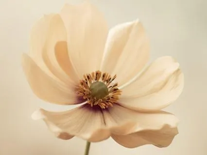 Talking To The Inner Critic