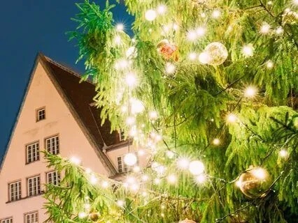 Tallinn, Estonia – Old Town Christmas Charm Ambience