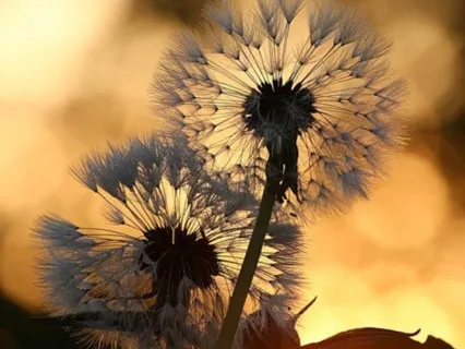 Taming The Inner Critic