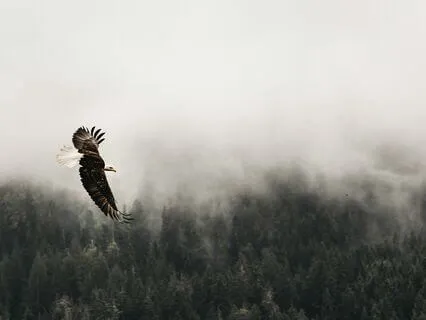 Taming The Inner Critic: A Self-Leadership Approach