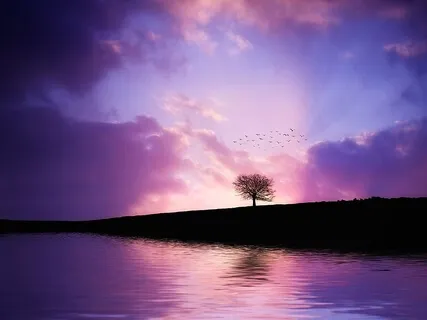 Taming The Inner Critic