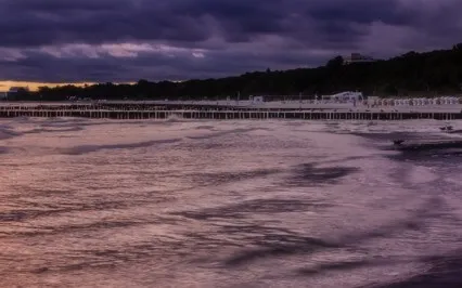 Taming The Restless (Legal) Mind